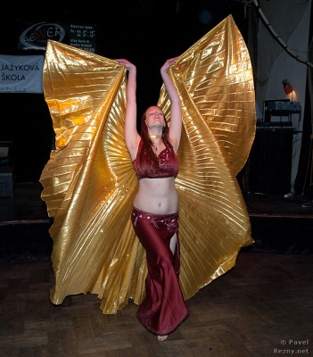 Klikněte pro zobrazení původního (velkého) obrázku