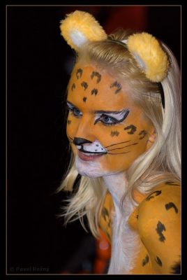 Klikněte pro zobrazení původního (velkého) obrázku