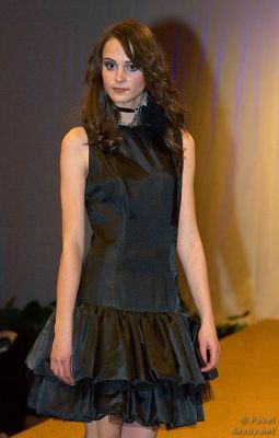 Klikněte pro zobrazení původního (velkého) obrázku