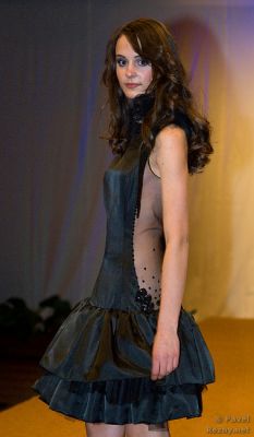 Klikněte pro zobrazení původního (velkého) obrázku