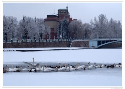 Klikněte pro zobrazení původního (velkého) obrázku