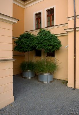 Klikněte pro zobrazení původního (velkého) obrázku